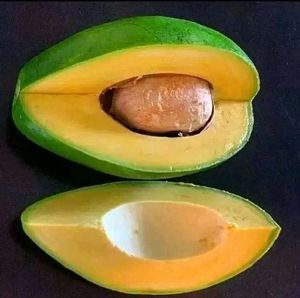 Meet your Posher, Frede